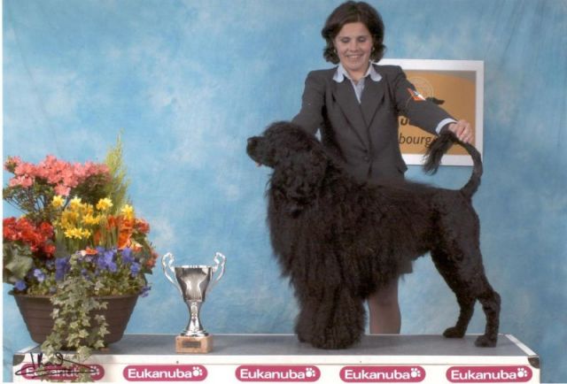Luxemburgo 2004